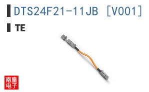 DTS24F21-11JB [V001]